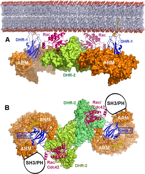 FIGURE 7.