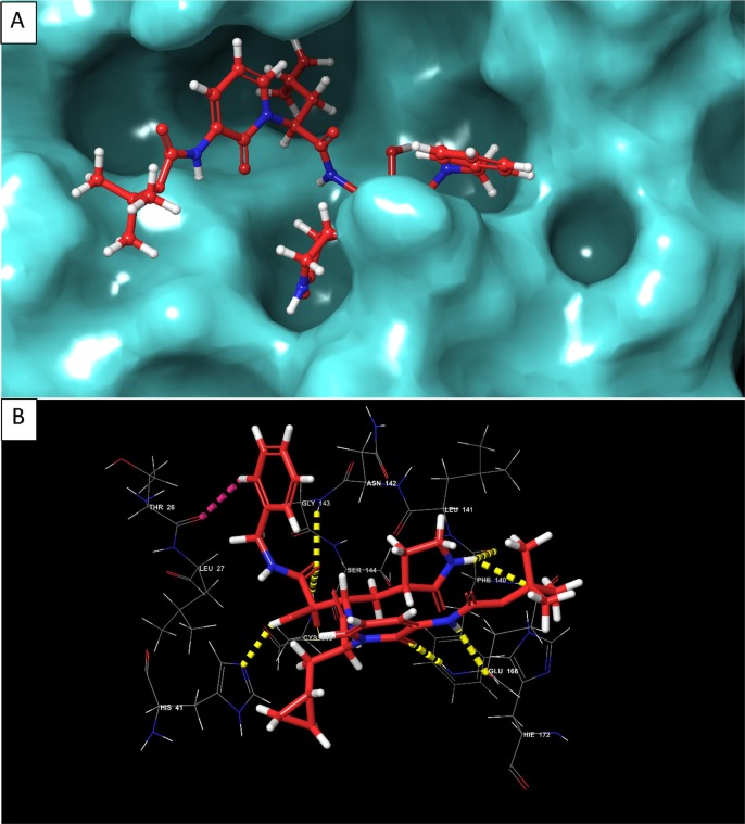 Fig. 12