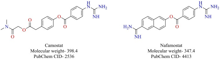 Fig. 22