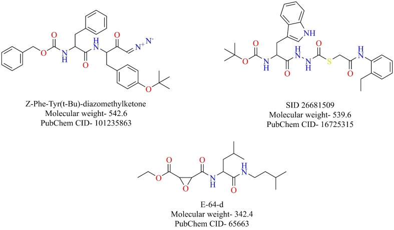 Fig. 8