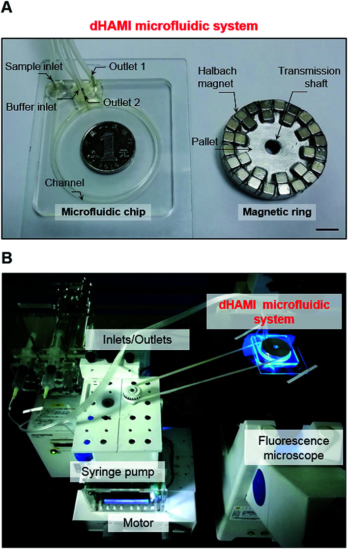 Fig. 2