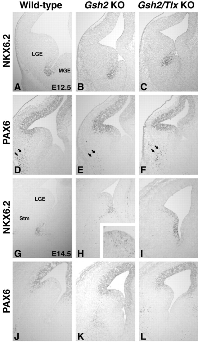 Figure 6.