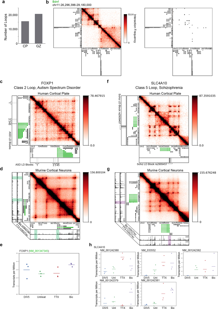 Extended Data Fig. 10 |