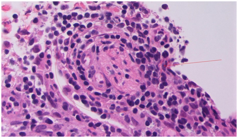 Figure 3.