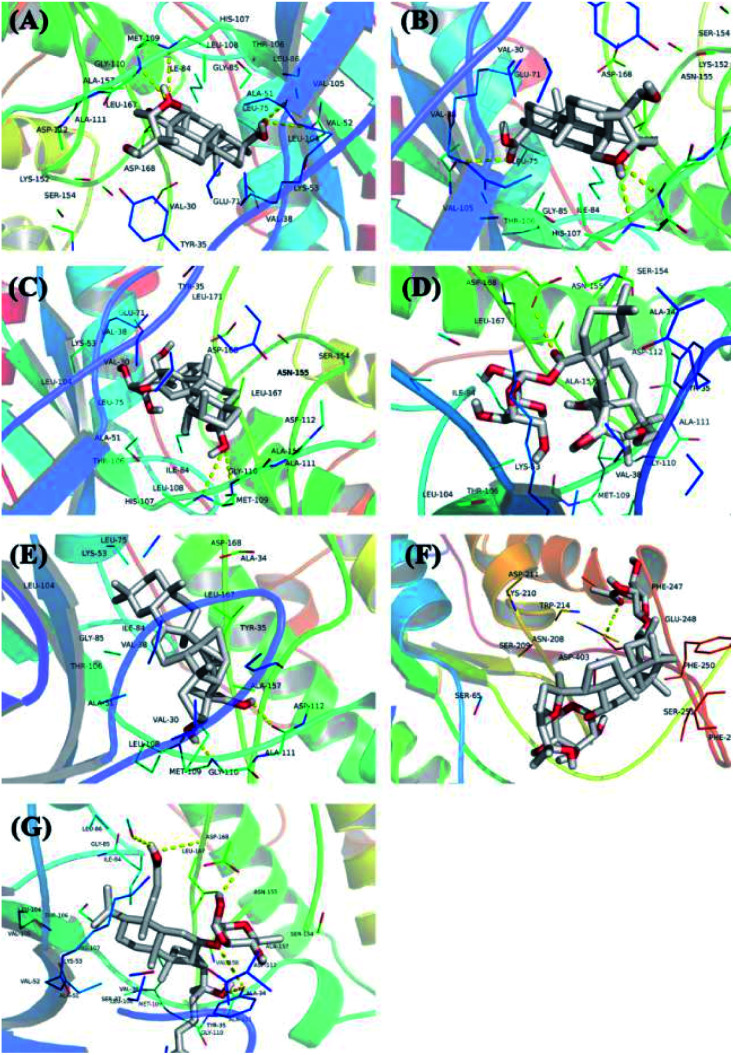 Fig. 7