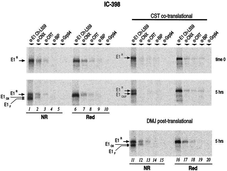 FIG. 6