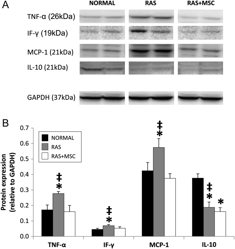 FIGURE 2: