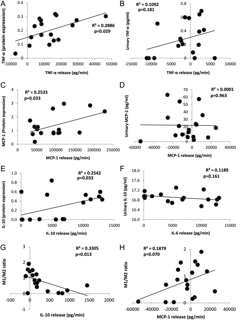 FIGURE 4: