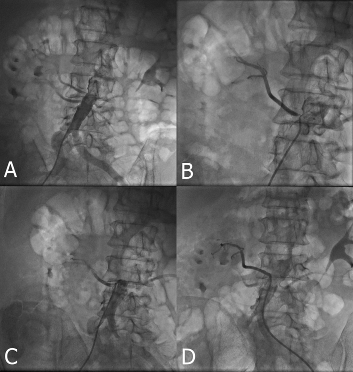 Fig. 2