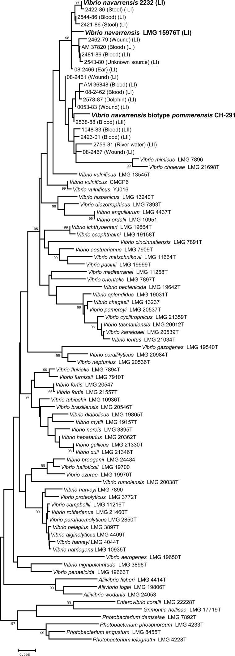 FIG 2