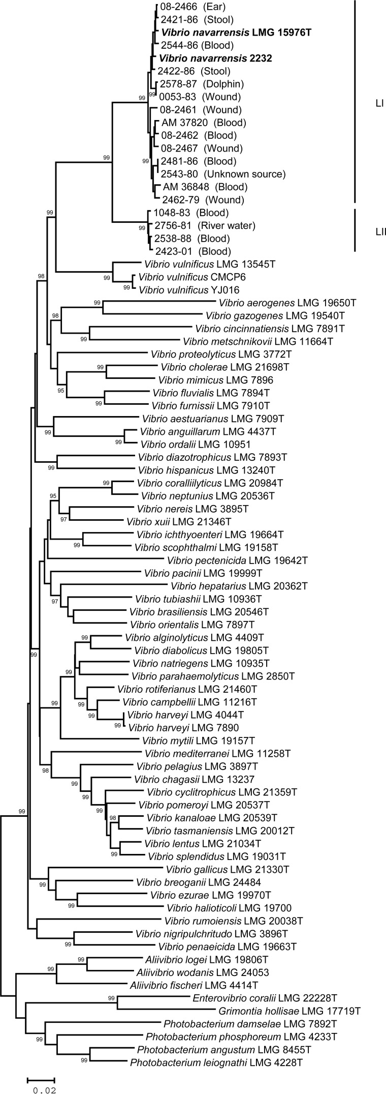 FIG 1