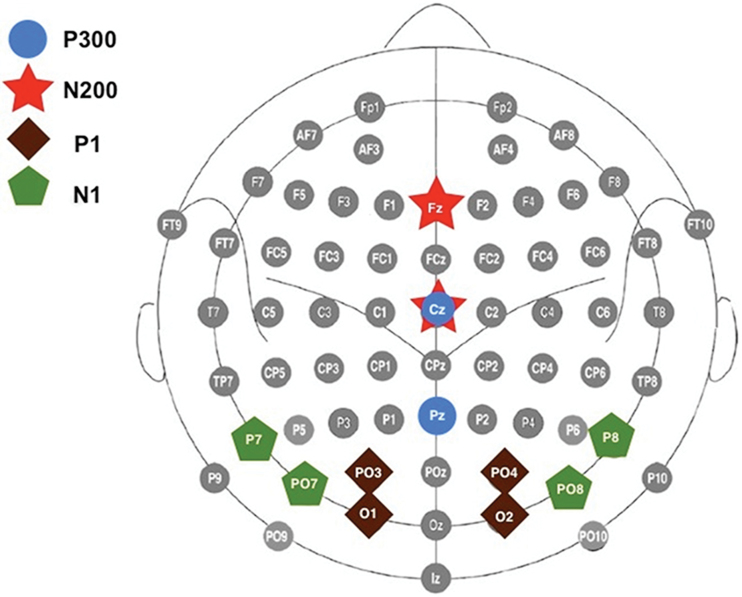 Fig. 1.