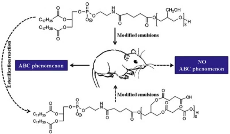 Unlabelled image