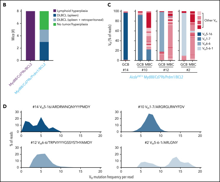 Figure 6.