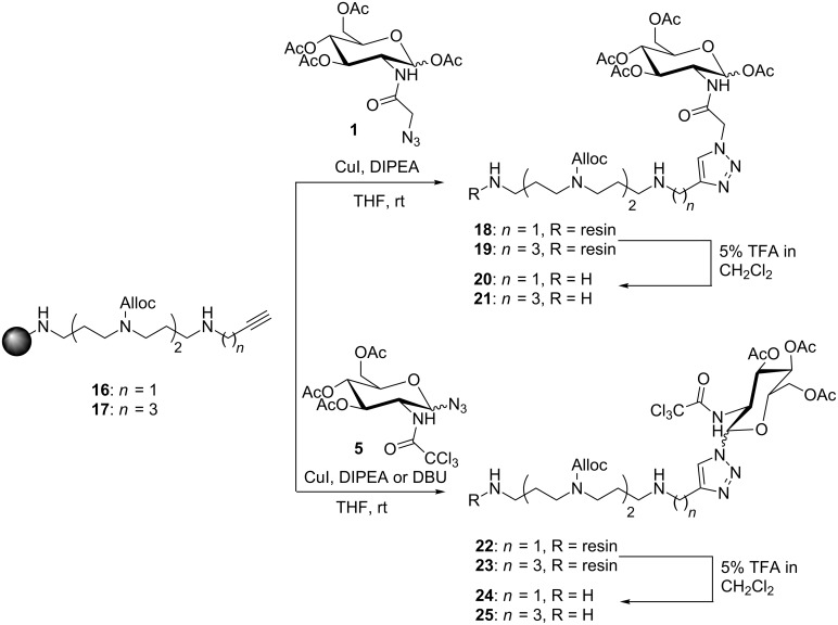 Scheme 2