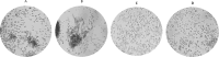 Fig 7