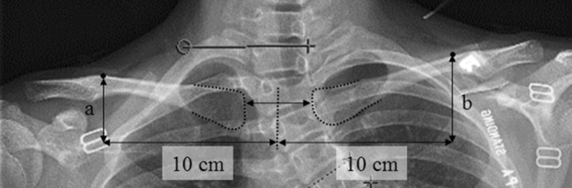 Fig. 5