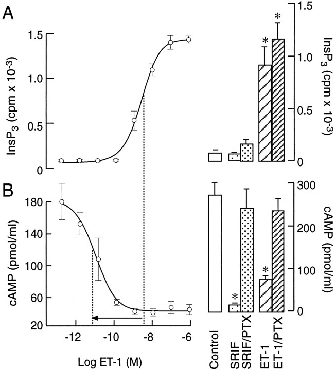 Fig. 8.