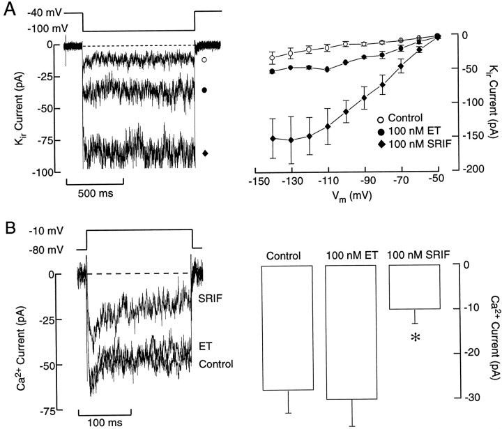 Fig. 12.