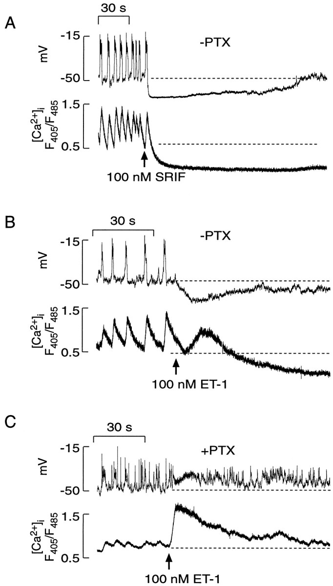 Fig. 11.