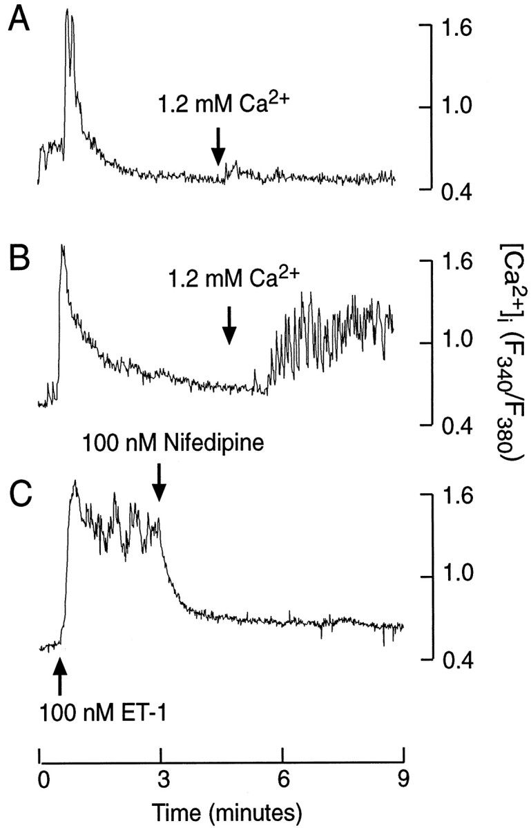 Fig. 10.