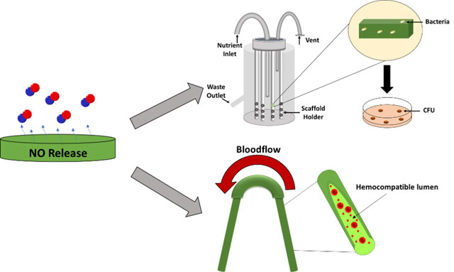 graphic file with name nihms-1677354-f0001.jpg