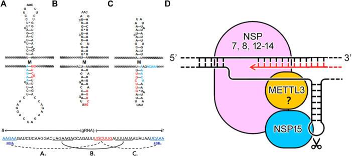 FIGURE 4