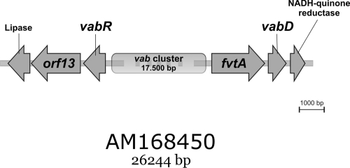 FIG. 1.