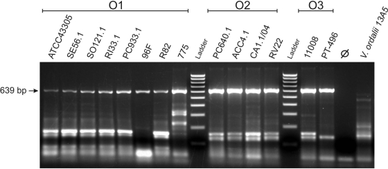 FIG. 5.