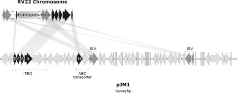 FIG. 4.