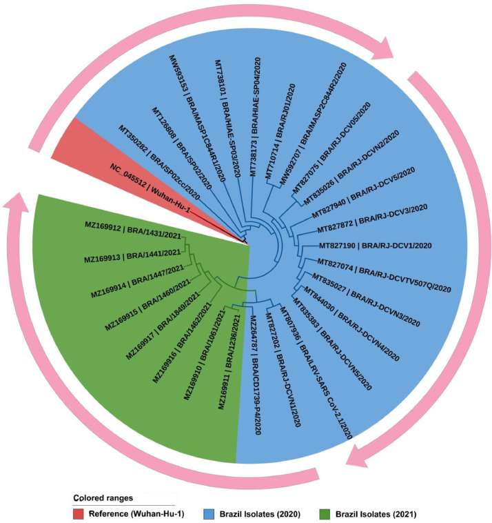 Fig 1