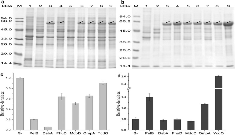 Fig. 3