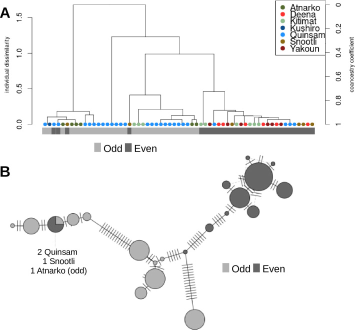 Fig 4