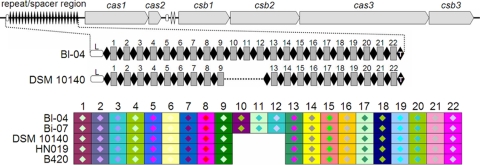 FIG. 3.