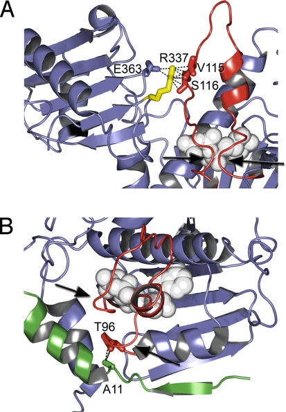 Fig. 7.