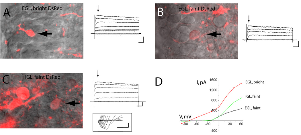 Figure 5