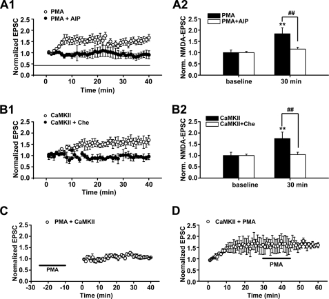 FIGURE 10.