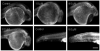 Fig. 6