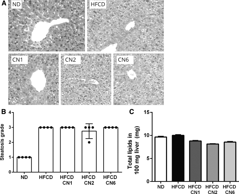 FIG. 3.