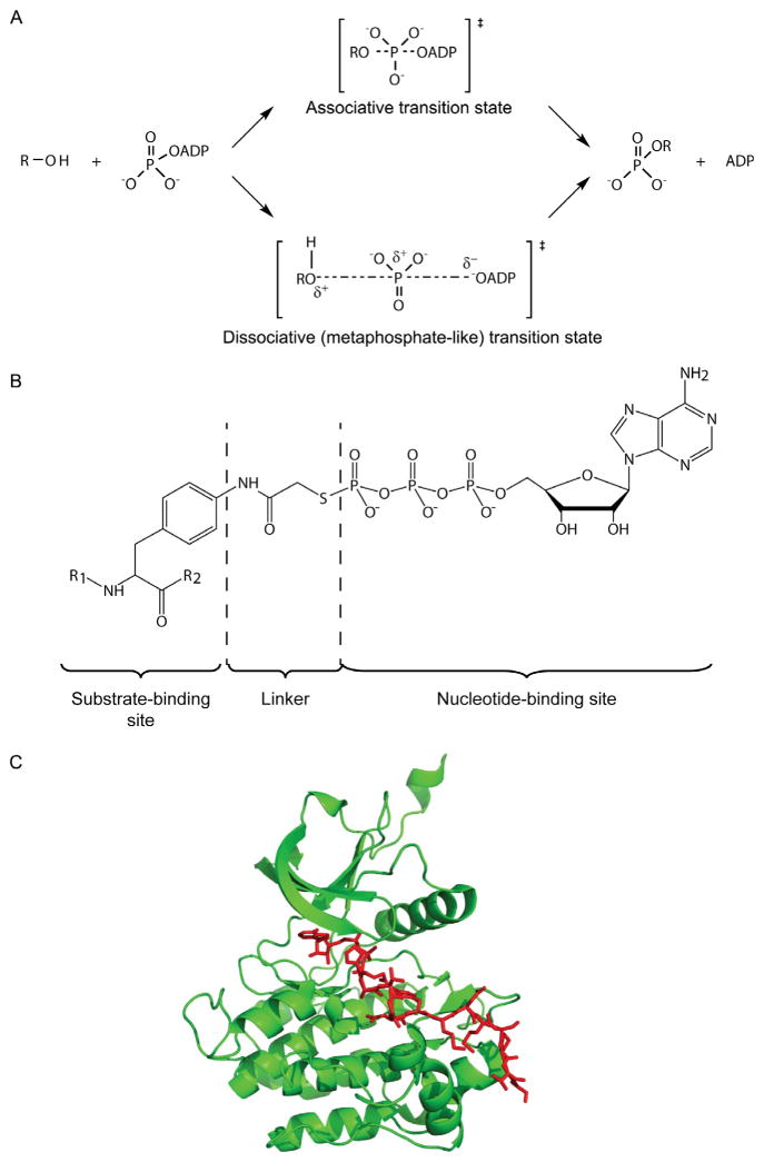 Figure 1.1