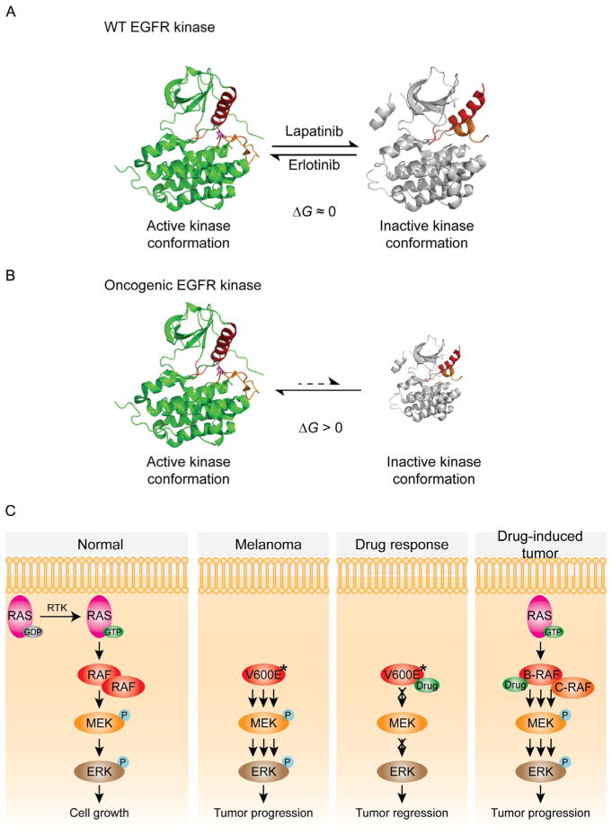 Figure 1.2