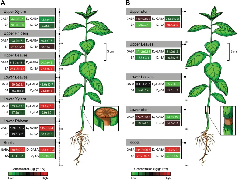 Fig. 2