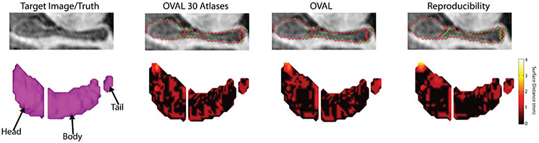 Figure 6: