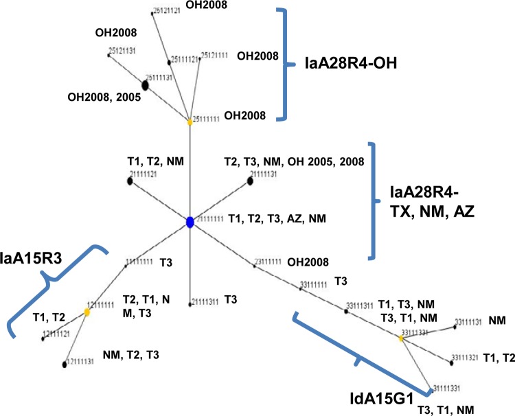 FIG 2