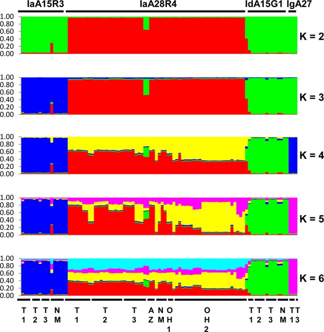 FIG 1