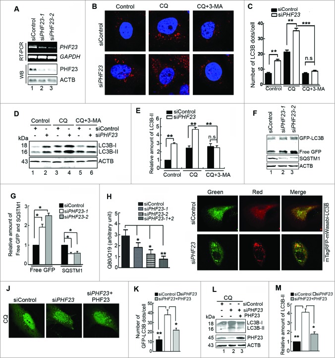 Figure 3 (see previous page).