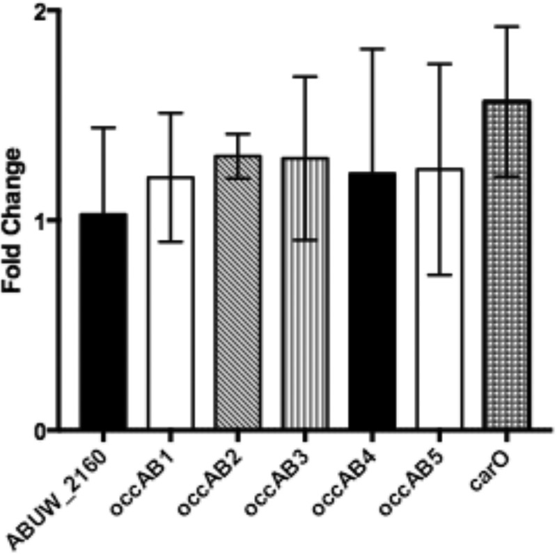 FIG 5