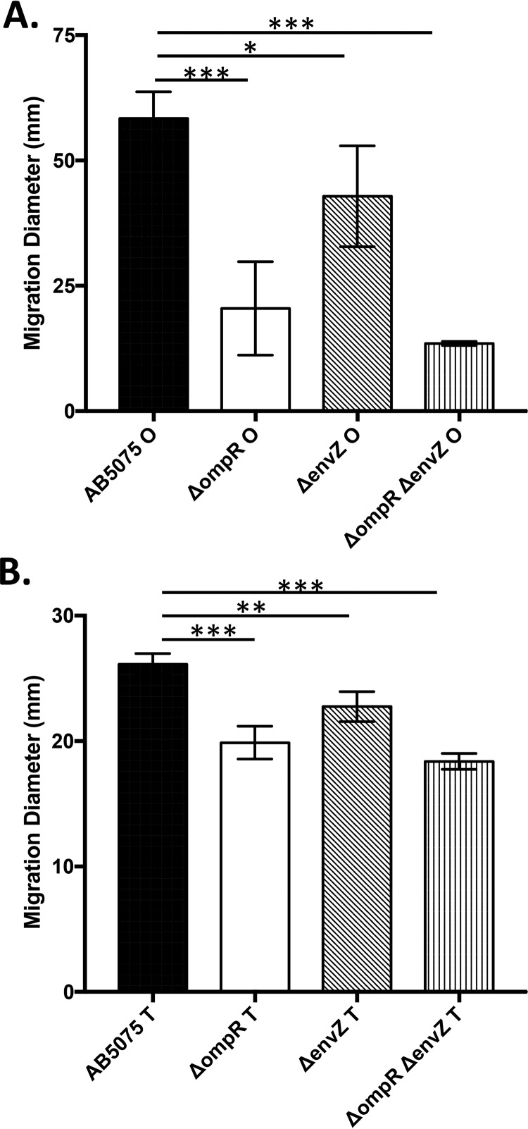 FIG 3