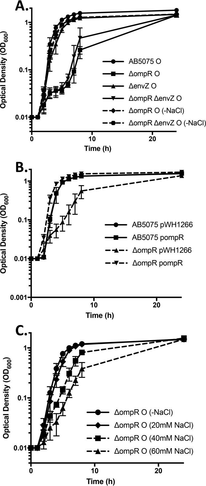 FIG 2