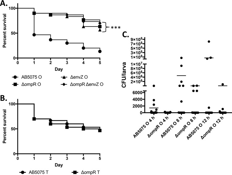 FIG 6